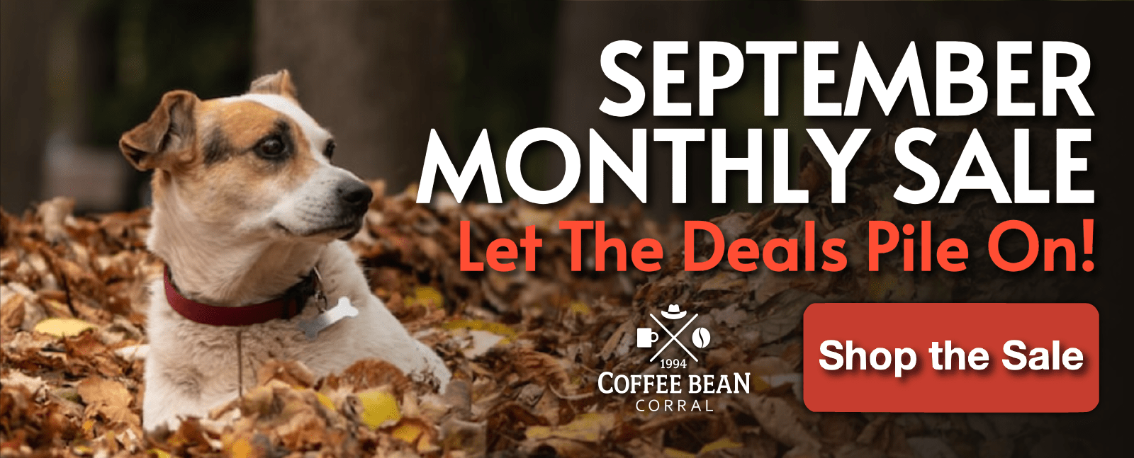 Green Coffee Beans Unroasted Coffee Beans Coffee Bean Corral